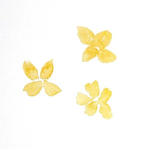 There is an image of three orange watercolor flowers. The flowers all have four or five oval leaves that are painted in a loose style. This is the second step in the watercolor florals tutorial.