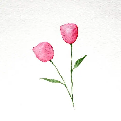 There is an image of two watercolor tulips, and both have long green stems with leaves. This is the fourth step in the watercolor tulips tutorial.